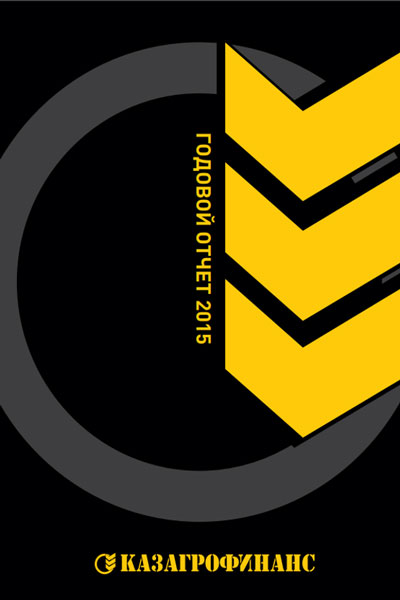 Годовой отчет за 2015 год