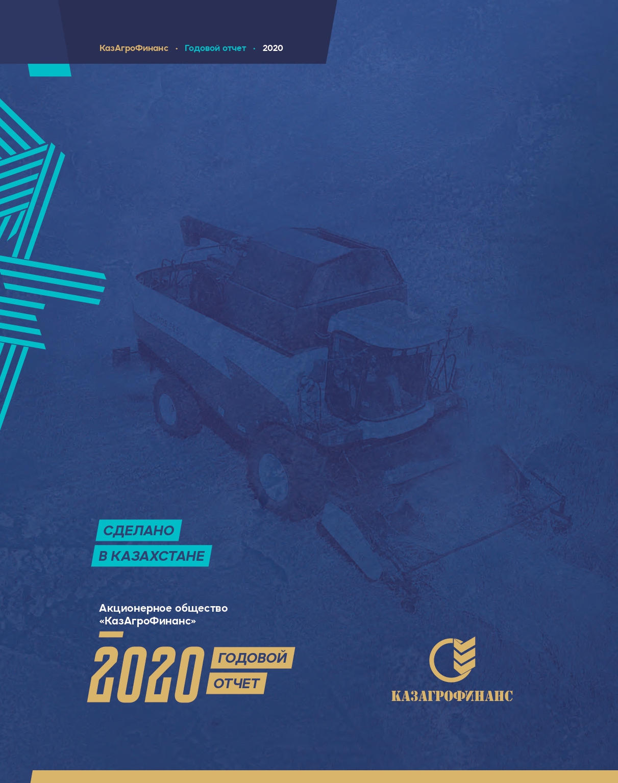 Годовой отчет за 2020 год