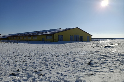 Zalogovoe Imushestvo