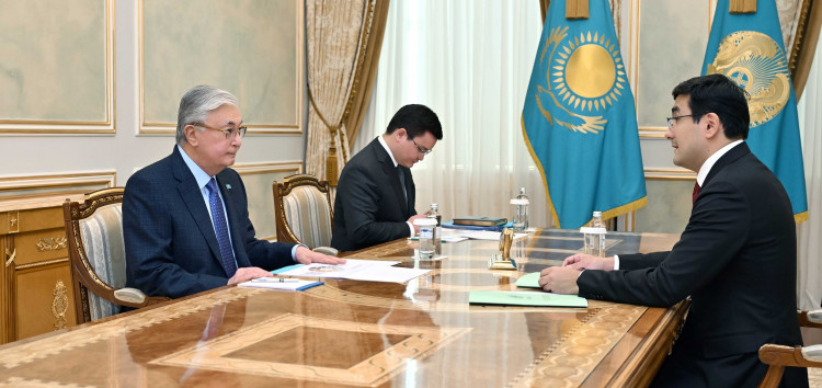 The head of state received the head of the Baiterek holding Rustam Karagoishin