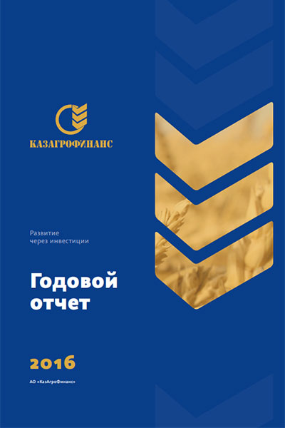 Годовой отчет за 2016 год