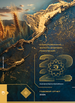 Годовой отчет за 2024 год