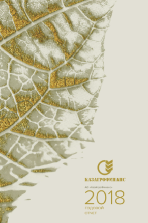 Годовой отчет за 2018 год (интерактивная версия)