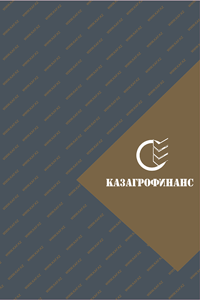 Жылғы жылдық есеп 2012