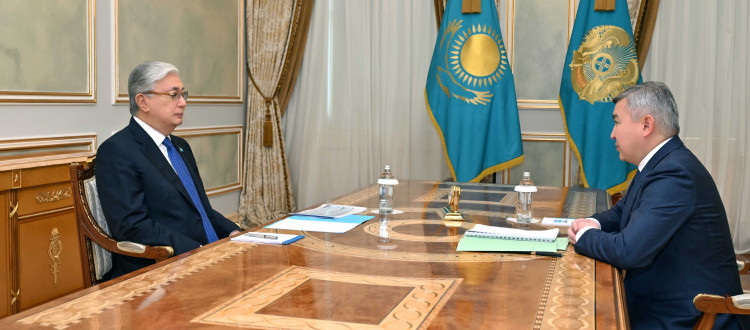 Глава государства принял председателя правления АО «Национальный управляющий холдинг «Байтерек» Нурлана Байбазарова
